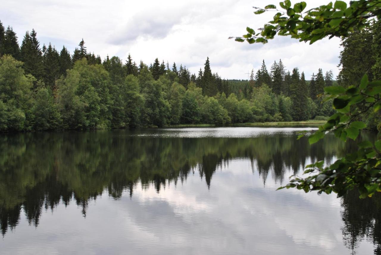 Apartmán Harz-Rose Braunlage Exteriér fotografie