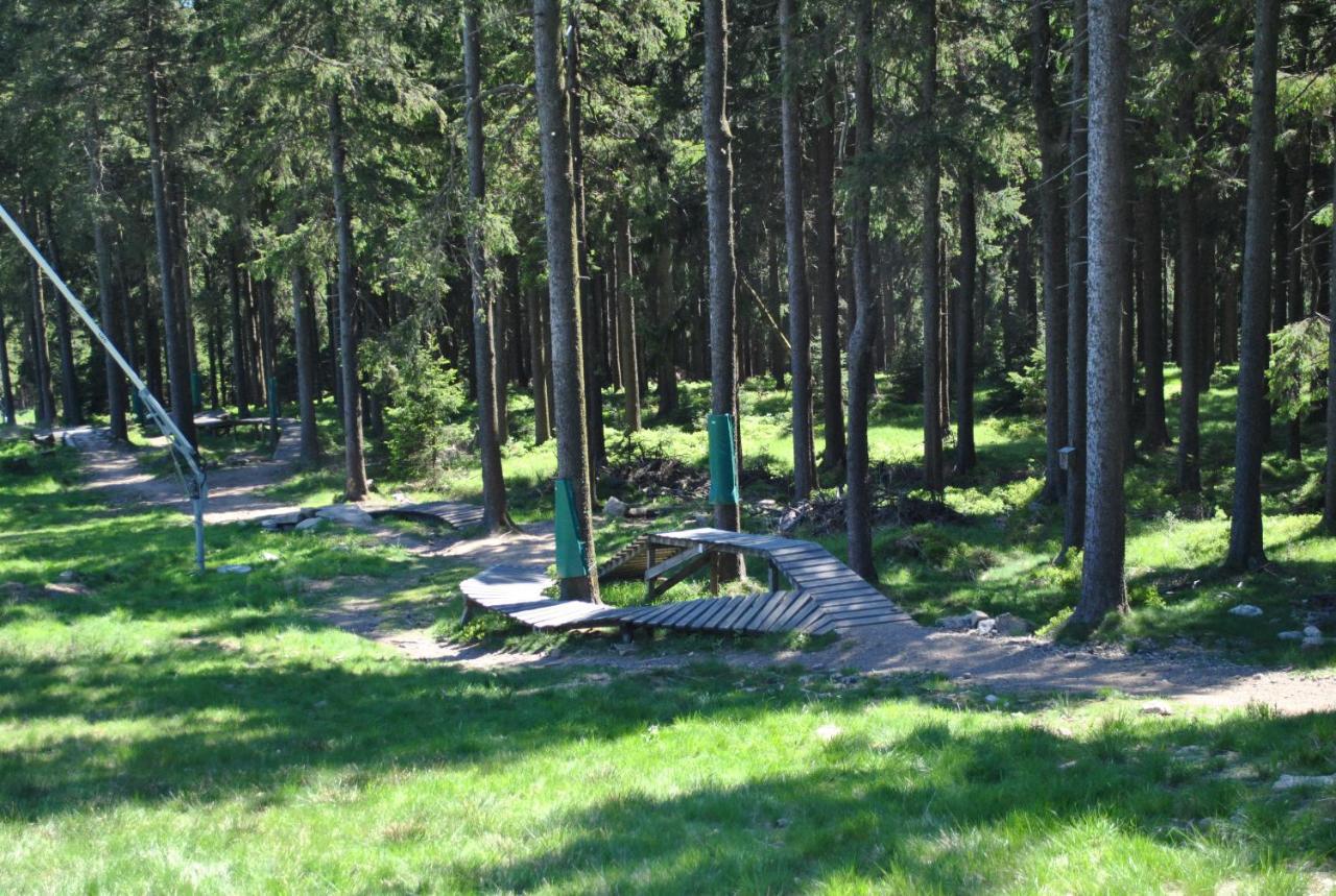 Apartmán Harz-Rose Braunlage Exteriér fotografie