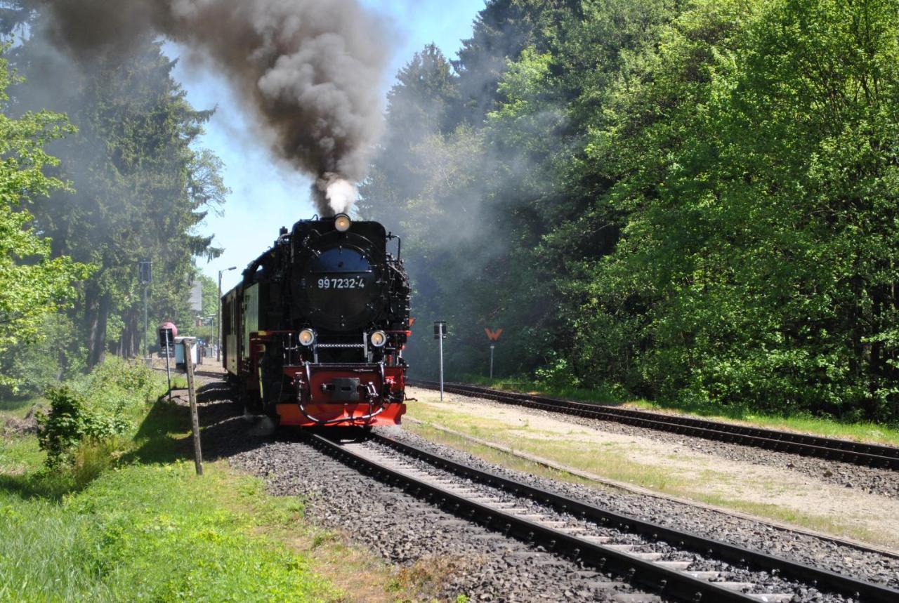 Apartmán Harz-Rose Braunlage Exteriér fotografie