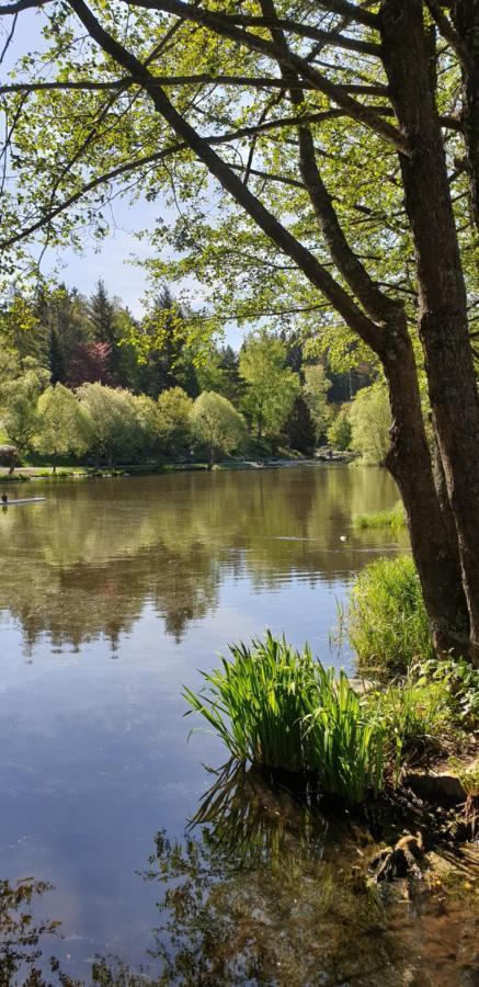 Apartmán Harz-Rose Braunlage Exteriér fotografie