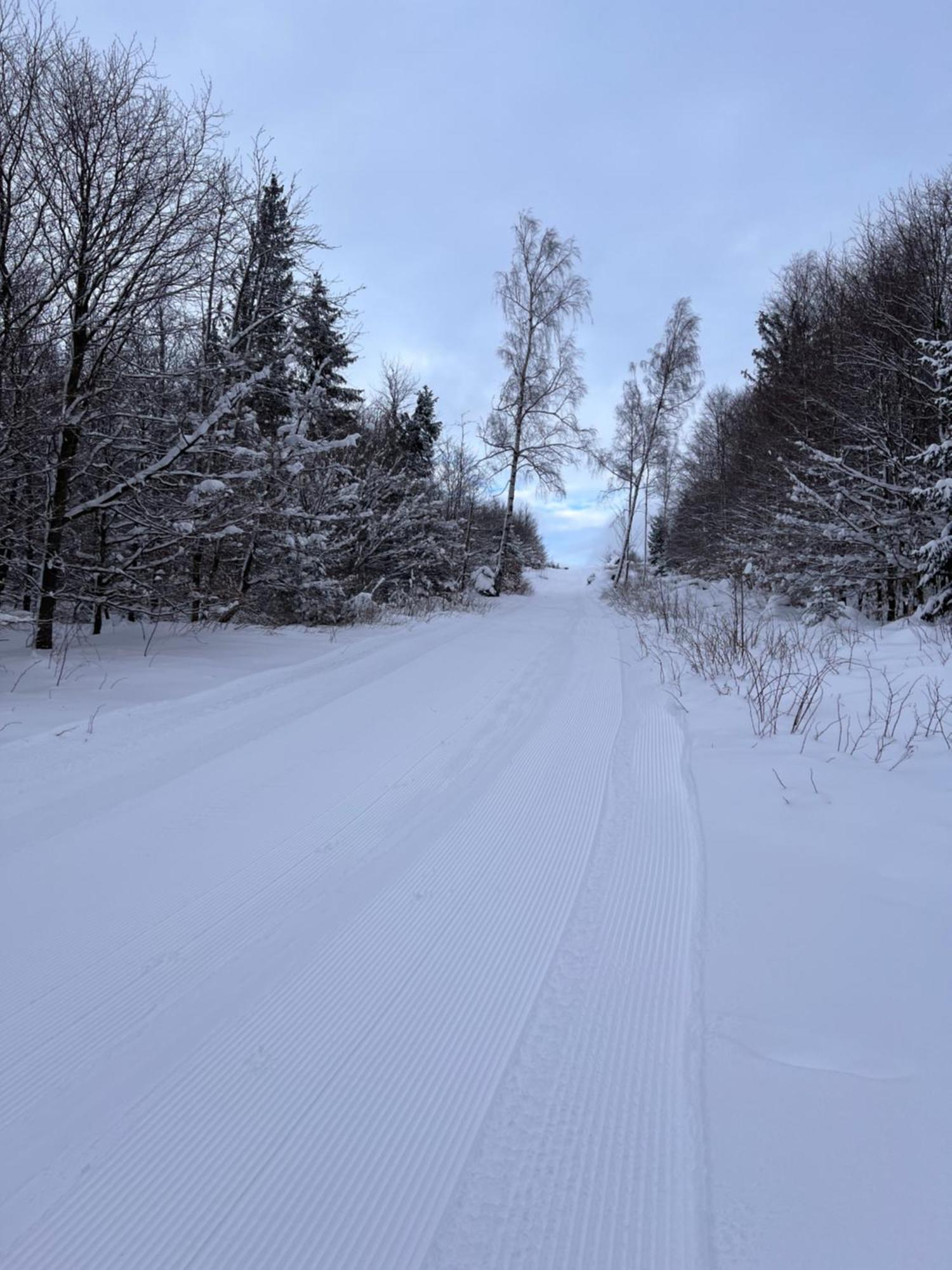 Apartmán Harz-Rose Braunlage Exteriér fotografie