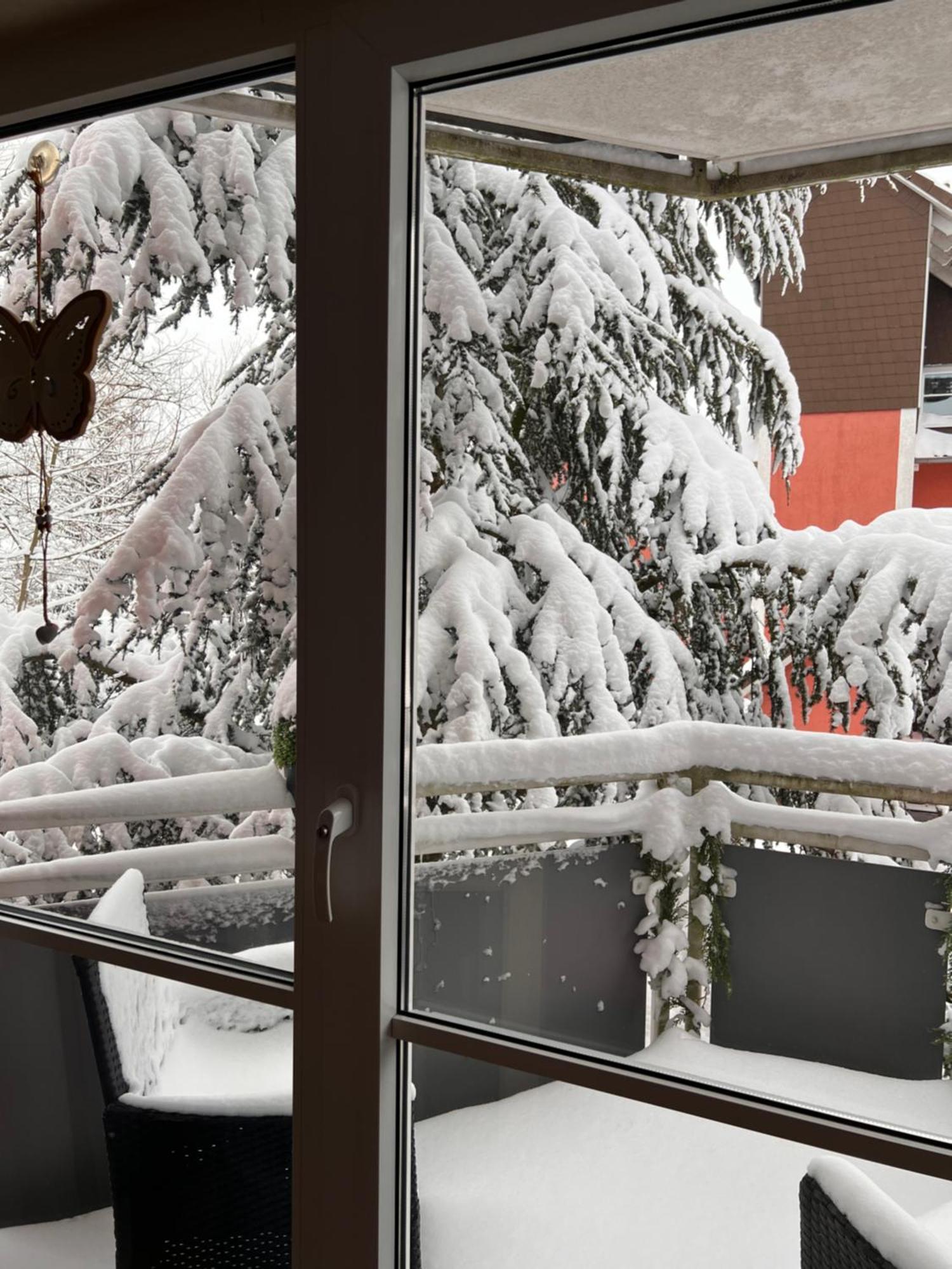 Apartmán Harz-Rose Braunlage Exteriér fotografie